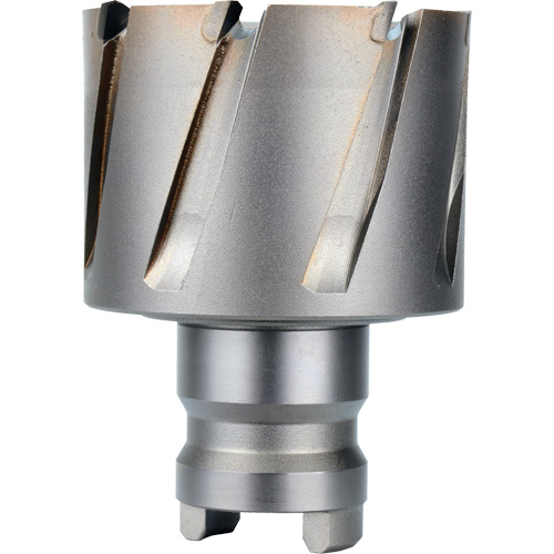 Fraise avec tenon &agrave; changement rapide Drive Hawg, Diam&egrave;tre de 2", Acier, Profondeur de la coupe de 1" Rideout Tool & Machine Inc.