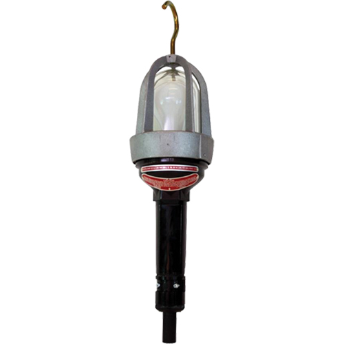Baladeuses pour emplacements dangereux, DEL, 20 W, 2400 Lumens Rideout Tool & Machine Inc.