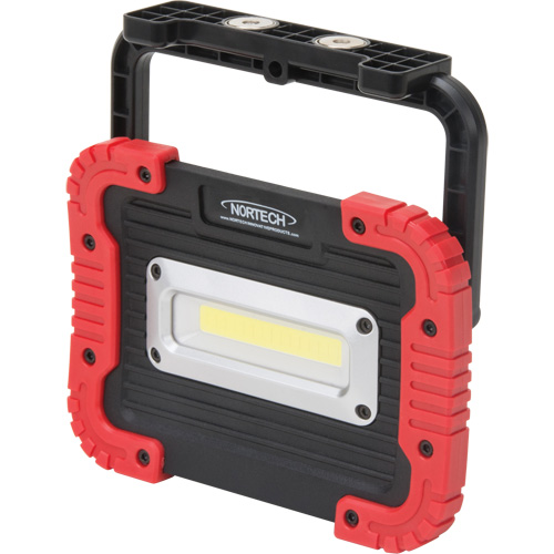 Lampe de travail portative, DEL, 10 W, 1000 lumens, Boîtier en Plastique Rideout Tool & Machine Inc.