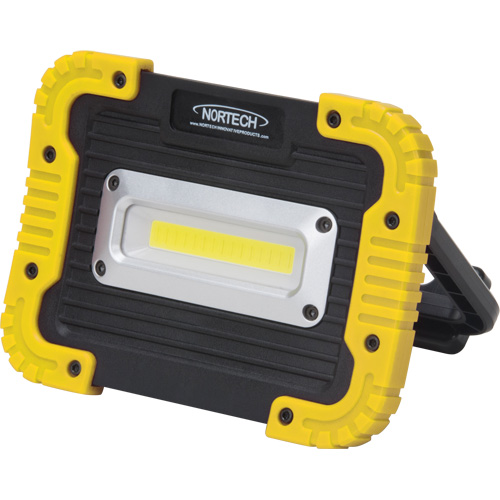 Portable Work Light, LED, 10 W, 1000 Lumens, Plastic Housing Rideout Tool & Machine Inc.