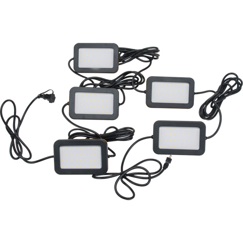 LED String Work Lights, 5 Lights, 50' L, Plastic Housing Rideout Tool & Machine Inc.