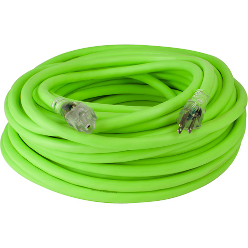 Cordon rallonge industriel Flexzilla Pro, Toutes saisons, SJTW, AWG 10/3, 15 A, 100' Rideout Tool & Machine Inc.