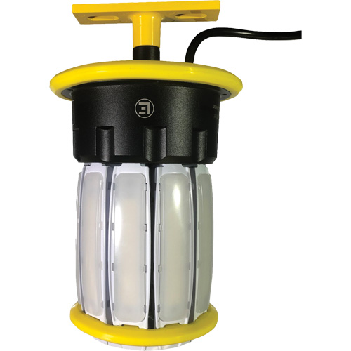 Projecteur pour chantier portatif Beacon360 Blaze, DEL, 100 W, 14300 lumens, Boîtier en Aluminium Rideout Tool & Machine Inc.