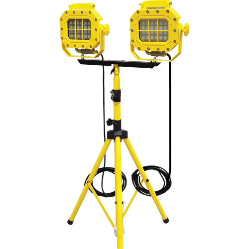 Explosion Proof Floodlight with Tripod, LED, 40 W, 5600 Lumens, Aluminum Housing Rideout Tool & Machine Inc.