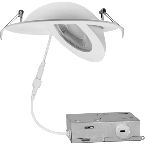 Gimbal Light Fixture, LED, 120 V, 9 W Rideout Tool & Machine Inc.