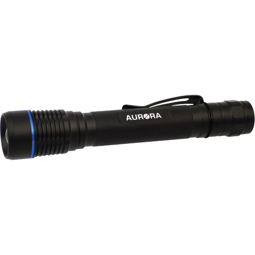Lampe de poche IPX7, DEL, 250 lumens, Piles AA Rideout Tool & Machine Inc.