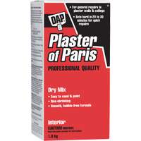 Plaster of Paris Dry Mix, 2 kg, Box Rideout Tool & Machine Inc.