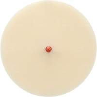 Disque Scotch-Brite 7502 pour retrait de colle et de bandes de moulage, 6" dia. Rideout Tool & Machine Inc.