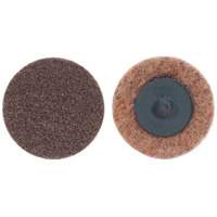 Non-Woven Quick-Change Discs, 2" Dia., Extra Coarse Grit, Aluminum Oxide Rideout Tool & Machine Inc.