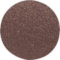 Wood Sanding Disc, 12" Dia., 60 Grit Rideout Tool & Machine Inc.