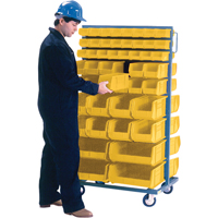 Double-Sided Mobile Bin Rack, Double-sided, 96 bins, 36" W x 24" D x 63" H Rideout Tool & Machine Inc.
