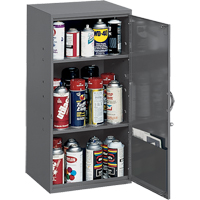 Utility Cabinet, Steel, 2 Shelves, 32-3/4" H x 19-7/8" W x 14-1/4" D, Grey Rideout Tool & Machine Inc.