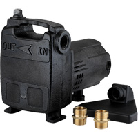 Portable Cast Iron Transfer Pump, 115 V, 950 GPH, 1/2 HP DC841 | Rideout Tool & Machine Inc.