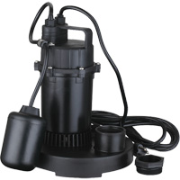 Thermoplastic Submersible Sump Pump, 2560 GPH, 115 V, 4.6 A, 1/3 HP DC843 | Rideout Tool & Machine Inc.