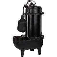 Cast Iron Effluent Pump, 4800 GPH, 120 V, 7.8 A, 1/2 HP DC844 | Rideout Tool & Machine Inc.