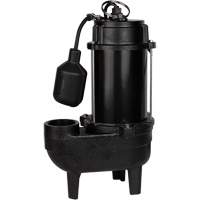 Pompe d'égout en fonte, 120 V, 9,5 A, 6400 gal./h, 3/4 CV DC851 | Rideout Tool & Machine Inc.