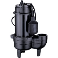 Cast Iron Sewage Pump, 120 V, 9.5 A, 6000 GPH, 1/2 HP Rideout Tool & Machine Inc.