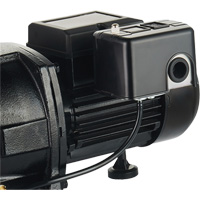Dual Voltage Cast Iron Shallow Well Jet Pump, 115 V/230 V, 1100 GPH, 1 HP DC853 | Rideout Tool & Machine Inc.