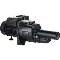 Dual Voltage Cast Iron Convertible Jet Pump, 115 V/230 V, 1100 GPH, 1/2 HP DC855 | Rideout Tool & Machine Inc.
