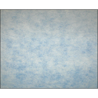 Filtres en m&eacute;dias synth&eacute;tiques &agrave; arrestance &eacute;lev&eacute;e, Tampon, MERV 5, 24" la x 2" p x 12" h Rideout Tool & Machine Inc.