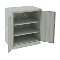 Deluxe Counter High Cabinet, Steel, 2 Shelves, 42" H x 36" W x 24" D, Light Grey FL644 | Rideout Tool & Machine Inc.