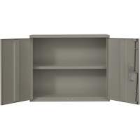 Armoire murale, Acier, 2 Tablettes, 30" h x 36" la x 12" P, Gris Rideout Tool & Machine Inc.