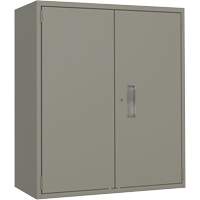 Armoire de rangement Lo-Boy, Acier, 2 Tablettes, 40" h x 36" la x 18" P, Gris Rideout Tool & Machine Inc.