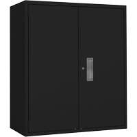 Armoire de rangement Lo-Boy, Acier, 2 Tablettes, 42" h x 36" la x 18" P, Noir Rideout Tool & Machine Inc.