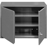 Wall-Mounted Cabinet, 27" H x 29-7/8" W x 13-11/16" D, 2 Shelves, Steel, Grey FL992 | Rideout Tool & Machine Inc.