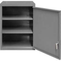 Wall-Mounted Cabinet, 27" H x 13-11/16" W x 18" D, 2 Shelves, Steel, Grey FL997 | Rideout Tool & Machine Inc.