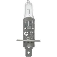 64155 Ampoule automobile de base, Halog&egrave;ne, 78 W, Blanc cass&eacute; Rideout Tool & Machine Inc.