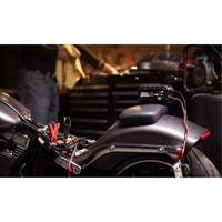 Genius&reg; 10 10-Amp Battery Charger Rideout Tool & Machine Inc.