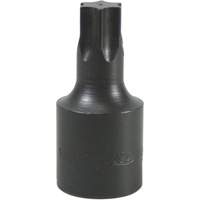Screwdriver Bits