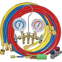 Manifold Gauge Set with Manual Couplers & Mini Dye Injector Rideout Tool & Machine Inc.
