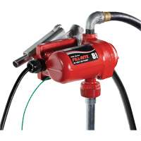 Pompe de transfert de carburant 12 V CC avec pistolet Rideout Tool & Machine Inc.