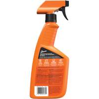 Nettoyant automobile tout usage, 16 oz/473 ml, Bouteille &agrave; g&acirc;chette Rideout Tool & Machine Inc.