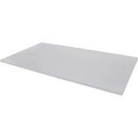 Replacement Shelf for Knocked Down Cabinet, 48" x 24", 300 lbs. Capacity, Steel, Grey FL819 | Rideout Tool & Machine Inc.