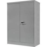 Counter-High Storage Cabinet, Steel, 2 Shelves, 42" H x 48" W x 24" D, Grey Rideout Tool & Machine Inc.