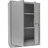 Counter-High Storage Cabinet, Steel, 2 Shelves, 42" H x 48" W x 24" D, Grey Rideout Tool & Machine Inc.