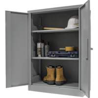 Counter-High Storage Cabinet, Steel, 2 Shelves, 42" H x 48" W x 24" D, Grey Rideout Tool & Machine Inc.