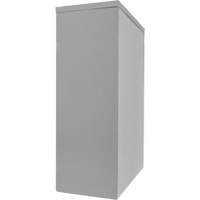 Counter-High Storage Cabinet, Steel, 2 Shelves, 42" H x 48" W x 24" D, Grey Rideout Tool & Machine Inc.