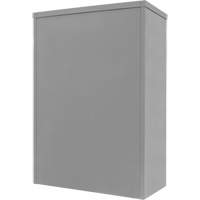 Counter-High Storage Cabinet, Steel, 2 Shelves, 42" H x 48" W x 24" D, Grey Rideout Tool & Machine Inc.