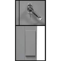 Counter-High Storage Cabinet, Steel, 2 Shelves, 42" H x 48" W x 24" D, Grey Rideout Tool & Machine Inc.