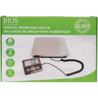 Digital Receiving Scale, 220 lbs. Cap., 1 lbs. Graduations Rideout Tool & Machine Inc.
