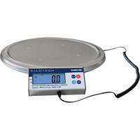 Keg Weighing Scale, 200 kg Capacity Rideout Tool & Machine Inc.
