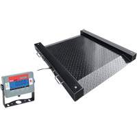 Balances de plancher DEFENDER, Capacit&eacute; de 1000 lb, 30" lo x 30" la Rideout Tool & Machine Inc.