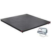 Balance de plancher DEFENDER 5000, Capacit&eacute; de 2500 lb, 48" la x 48" lo Rideout Tool & Machine Inc.