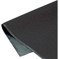 ColorStar Matting, Wiper, 3' x 5' x 3/8", Charcoal Rideout Tool & Machine Inc.