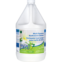 Multi-Purpose Concentrated Bathroom Cleaner, 4 L, Jug JC004 | Rideout Tool & Machine Inc.