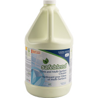 Glass & Multi-Surface Cleaner, 4 L, Jug Rideout Tool & Machine Inc.